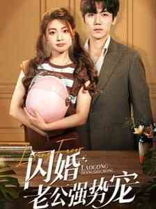 闪婚老公强势宠